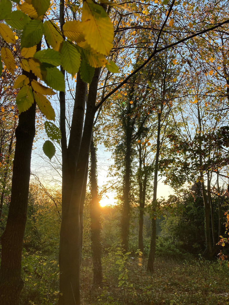 The Quiet Joy of Service