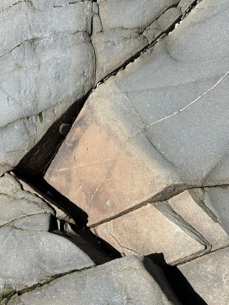The Art of Noticing (and 4 other learnings from my time at a meditation centre)